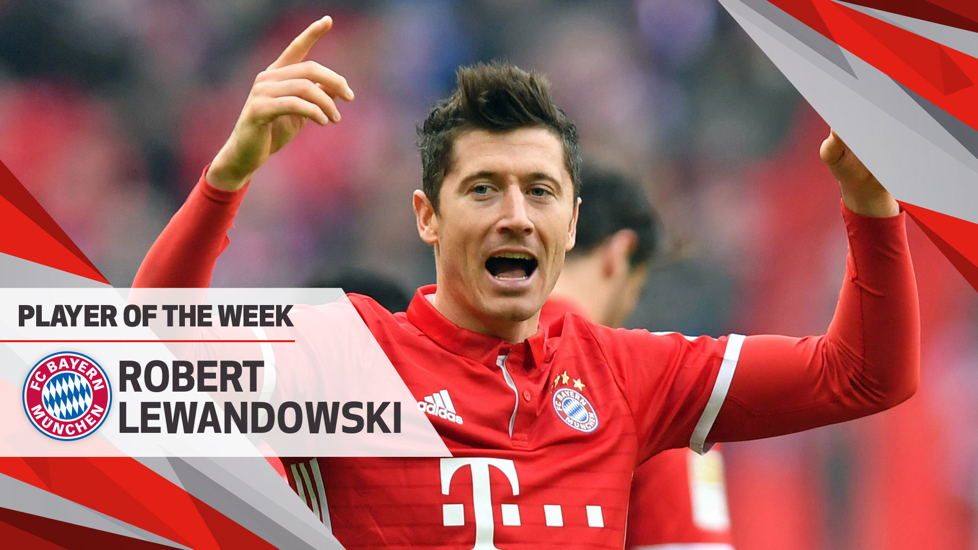 创新食谱绘美味健康画卷，圣禾载誉而归续写学生餐暖心新篇章